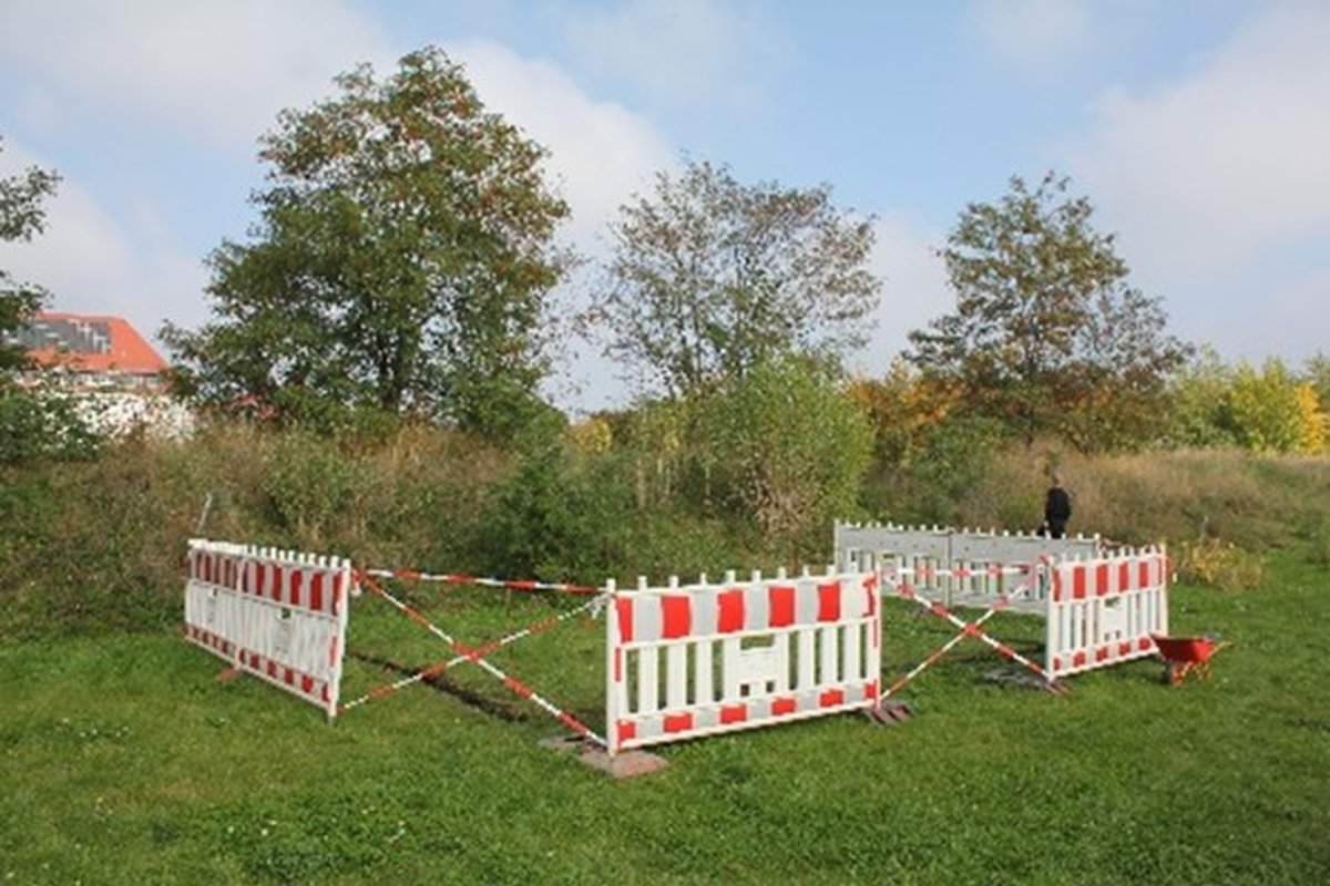 Titelbild für Beitrag: Unser FS Projekt: Der Weg zu unserem eigenen Gewächshaus (Schülerartikel)