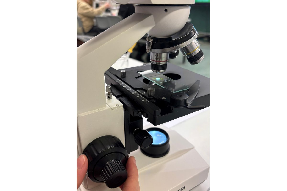 Titelbild für Beitrag: Projekt „Durchblick“ - Neuer Klassensatz Mikroskope für den Biologieunterricht