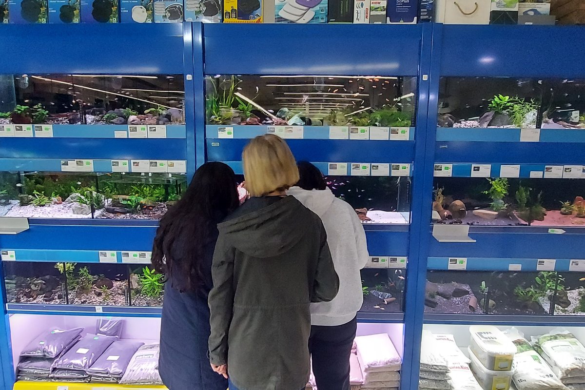Titelbild für Beitrag: Viele neue Mitbewohner für die Aquarien! (Schülerartikel)